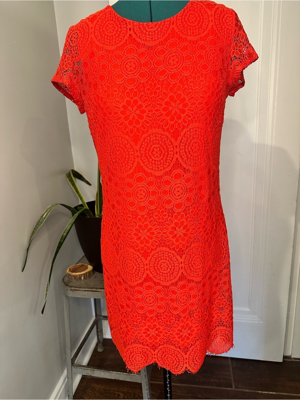 Laundry by Shelli Segal Coral Lace Dress, 4